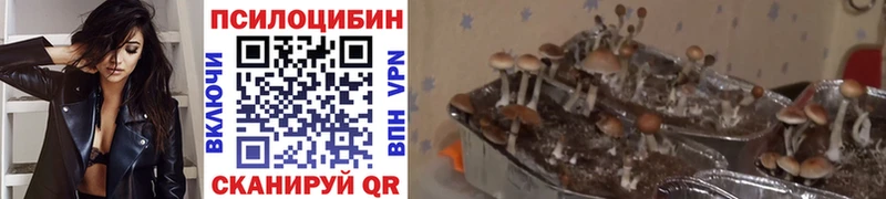 Галлюциногенные грибы Magic Shrooms  Холмск 
