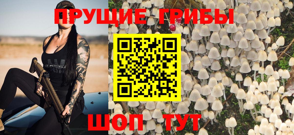 Галлюциногенные грибы GOLDEN TEACHER Холмск