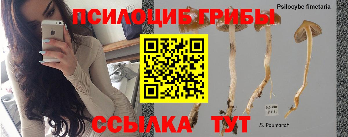 Галлюциногенные грибы мухоморы  Галлюциногенные грибы мицелий  Вход с VPN  Холмск 