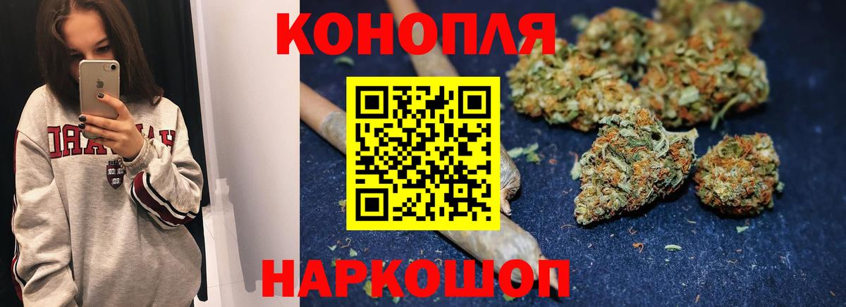 Бошки Шишки план Холмск